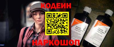 мдпв Кингисепп