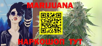 мдпв Кингисепп