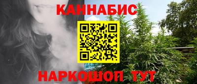 мдпв Кингисепп