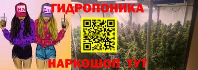 мдпв Кингисепп