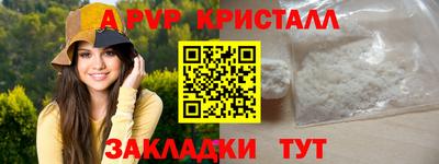 мдпв Кингисепп