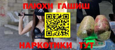 мдпв Кингисепп