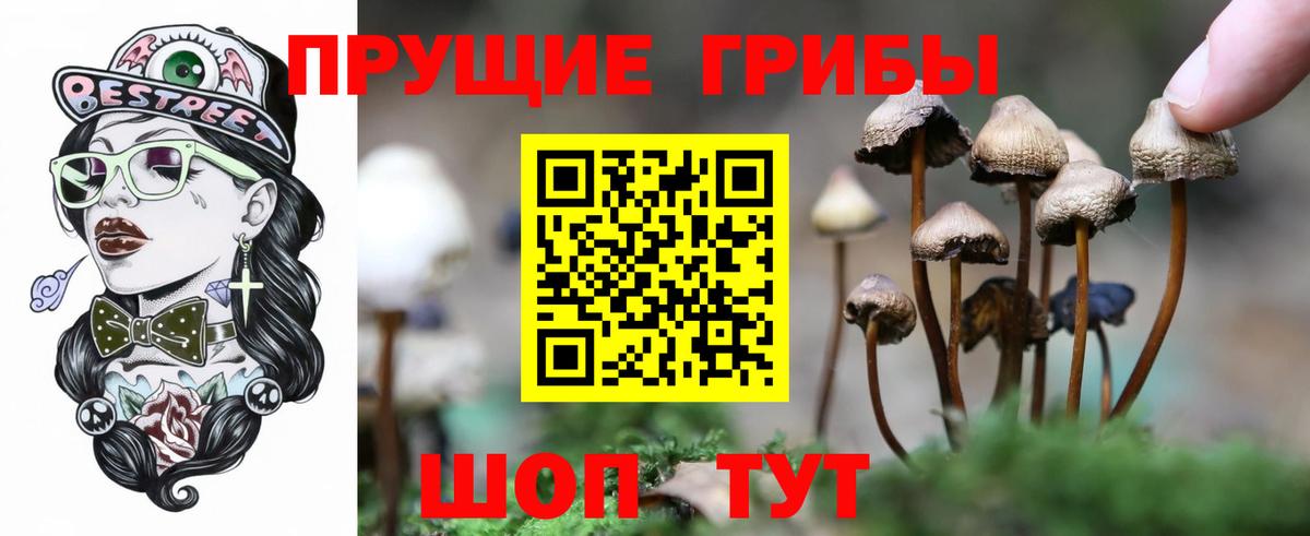 Кудрово  Галлюциногенные грибы мухоморы  Вход с VPN 